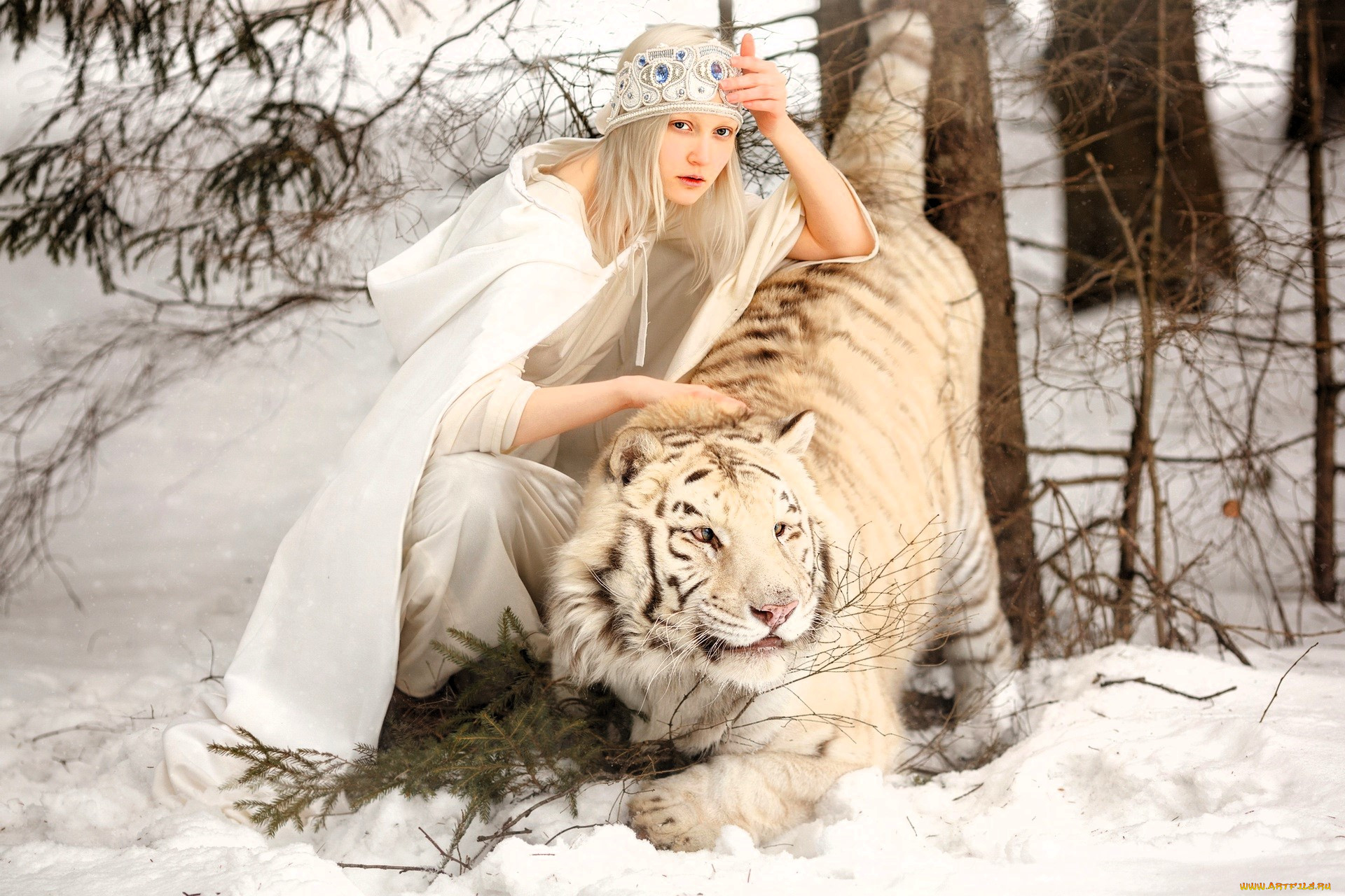 , - ,  , , , , , , , 